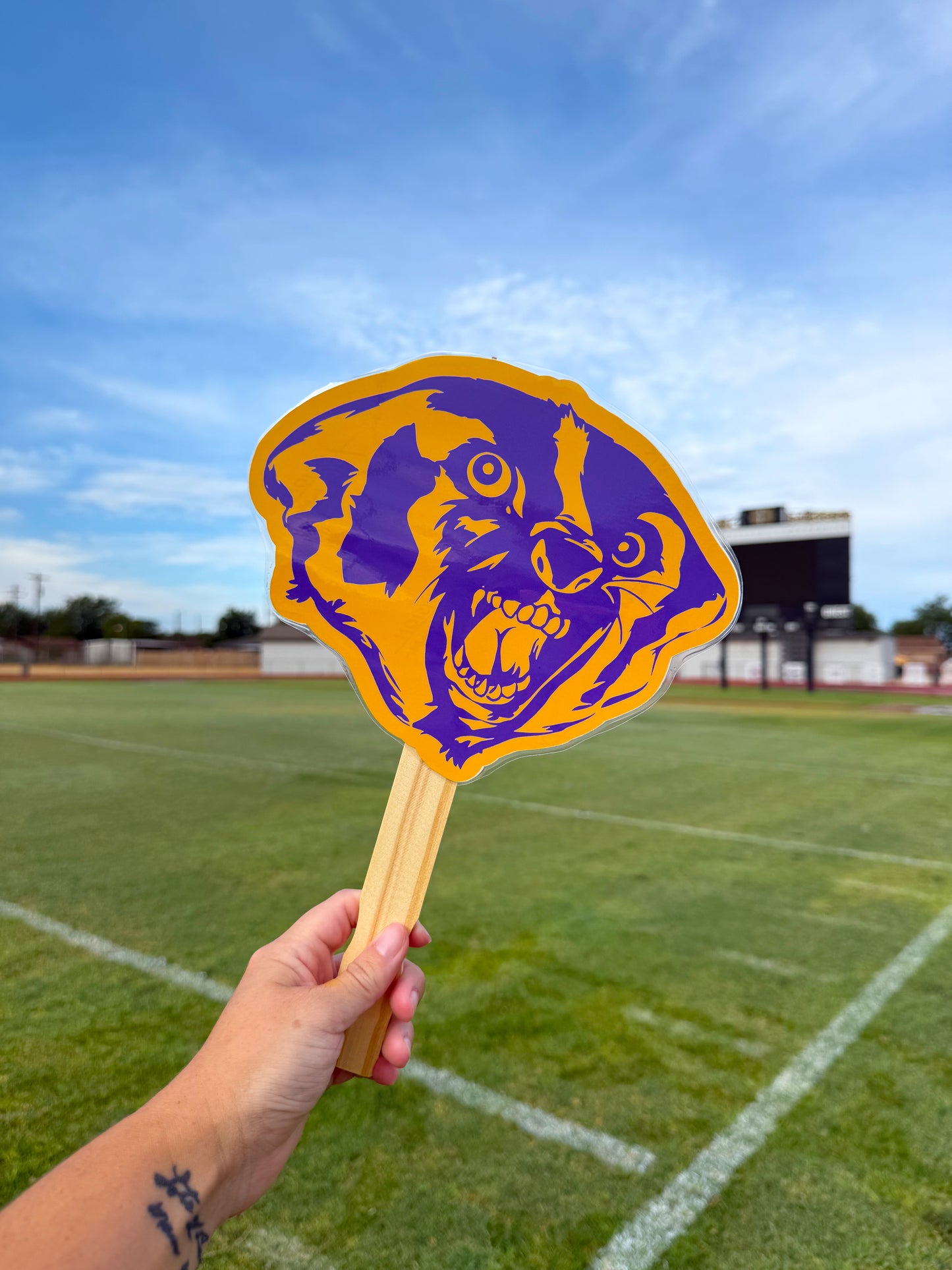 CUSTOM FANS/SIGNS mascot